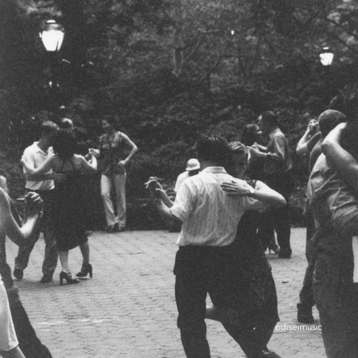 The Complete Guide To Saxophone And Clarinet Reeds